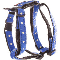 Produktbild von Image Hundegeschirr aus Nylon in Blau