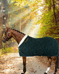 Produktbild von Imperial Riding Abschwitzdecke IRH Super Dry Forest Green aus Polyester