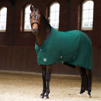 Produktbild von Imperial Riding Abschwitzdecke IRHFundamental Fleecedecke Größe 165 Forest Green
