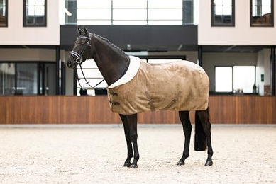 Imperial Riding Ambient Galaxy Pferde-Fleece- und Abschwitzdecke aus Teddyfleece mit Kunstfellkragen Cappuccino 135 – Bild 1 von 4