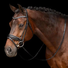 Produktbild von Imperial Riding Athena Trense aus Leder in Schwarz für Vollblut/VB