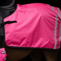 Produktbild von Imperial Riding Ausreitdecke IRH Reflective für Pferde