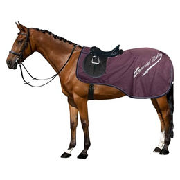 Imperial Riding Ausreitdecke IRH Super-Dry wasserdichte Pferde-Abschwitz- und Trainingsdecke mit Schweiflatz und reflektierenden Details Bordeaux Größe S – Bild 1 von 2