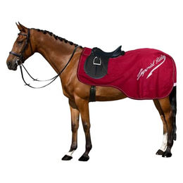 Imperial Riding Ausreitdecke IRH Super-Dry wasserdichte Pferde-Abschwitz- und Trainingsdecke mit Schweiflatz und reflektierenden Details Rot 2XL – Bild 1 von 2