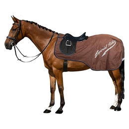 Produktbild von Imperial Riding Ausreitdecke IRH Super-Dry wasserdichte Pferde-Abschwitzdecke mit Schweiflatz und reflektierenden Details Walnuss XL