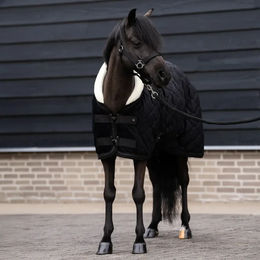 Imperial Riding Bandit DR Outdoor-Decke für Pferde – Bild 1 von 1