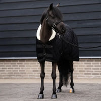 Produktbild von Imperial Riding Bandit DR Outdoor-Decke für Pferde