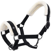 Produktbild von Imperial Riding Bandit Halfter für Pferde