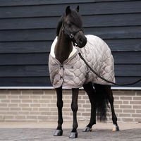 Produktbild von Imperial Riding Bandit Stalldecke für Pferde 0g
