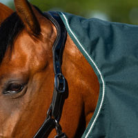 Produktbild von Imperial Riding Basic Außendecke für Pferde mit abnehmbarem Hals 400g