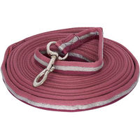 Produktbild von Imperial Riding Classic Longierleine aus weichem Nylon in Rosé-Bordeaux-Silver