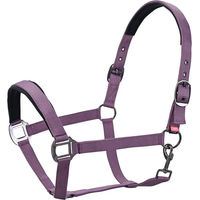 Produktbild von Imperial Riding Classic Sport Halfter für Pferde