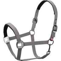 Produktbild von Imperial Riding Classic Sport Halfter für Pferde