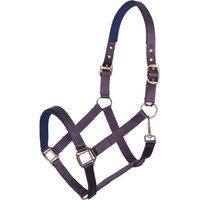 Produktbild von Imperial Riding Classic Sport Pferdehalfter aus Nylon für Fohlen in Gold oder Rosa
