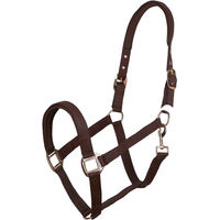 Produktbild von Imperial Riding Classic Sport Pferdehalfter aus Nylon mit Neopren-Polsterung und Goldbeschlägen Braun Pony