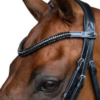 Produktbild von Imperial Riding Clincher Stirnband aus Leder mit Glas-Strasssteinen Schwarz Cob