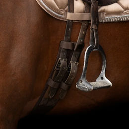 Imperial Riding Core Sattelgurt für Pferde – Bild 1 von 1
