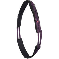 Produktbild von Imperial Riding Deluxe Extra Voltigiergurt für Pferde aus Nylon