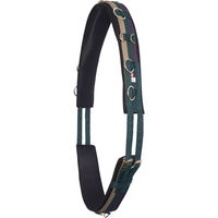 Produktbild von Imperial Riding Deluxe Extra Voltigiergurt für Pferde aus Nylon in Grün