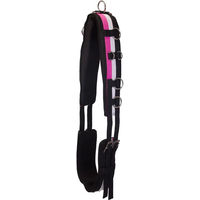 Produktbild von Imperial Riding Deluxe Longiergurt aus Nylon in Rosa oder Bunt für Pferde