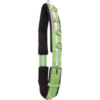 Produktbild von Imperial Riding Deluxe Voltigiergurt für Pferde aus Nylon in Grün