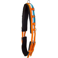 Produktbild von Imperial Riding Deluxe Voltigiergurt für Pferde aus Nylon in Orange Bunt