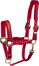 Imperial Riding Devil Halfter für Pferde – Bild 1 von 1