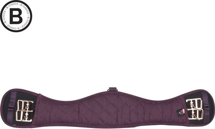 Produktbild von Imperial Riding Dressurreitgurt Go Star Dr in Rot