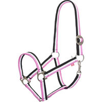 Produktbild von Imperial Riding Economic Pferdehalfter aus Nylon für Vollblut in Rosa oder Bunt