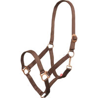 Produktbild von Imperial Riding Economic Pferdehalfter aus Nylon in Braun für Ponys