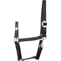 Produktbild von Imperial Riding Economic Pferdehalfter aus Nylon in Schwarz Größe XFull