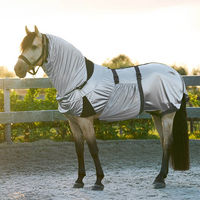 Produktbild von Imperial Riding Ekzemerdecke für Pferde aus Polyester in Silber