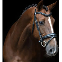 Produktbild von Imperial Riding English Combined Sleek Zaumzeug für Pferde