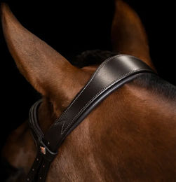 Imperial Riding English Combined Sleek Zaumzeug für Pferde – Bild 1 von 1