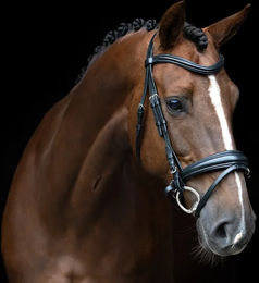 Imperial Riding English Combined Sleek Zaumzeug für Pferde – Bild 1 von 1