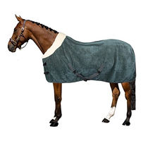 Produktbild von Imperial Riding Fleecedecke Ambient Galaxy Grün