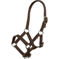 Produktbild von Imperial Riding Fohlen Halfter aus Nylon in Braun
