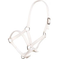 Produktbild von Imperial Riding Fohlenhalfter aus Nylon in Weiß