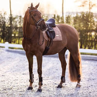 Produktbild von Imperial Riding Gamaschen 2er Set IRHLovely Cappuccino aus Neopren in Beige Schwarz