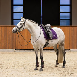 Produktbild von Imperial Riding Gamaschen 2er Set Lovely Berry aus Neopren in Rosa und Lila