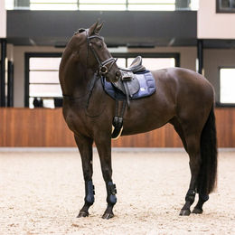 Produktbild von Imperial Riding Gamaschen 2er Set Lovely Navy aus Neopren