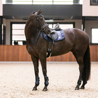Produktbild von Imperial Riding Gamaschen 2er Set Lovely Navy aus Neopren