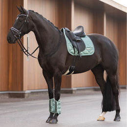 Produktbild von Imperial Riding Gamaschen Lovely Green aus Neopren