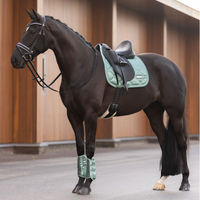 Produktbild von Imperial Riding Gamaschen Lovely Green aus Neopren