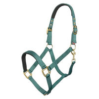 Produktbild von Imperial Riding Halfter Classic Sport aus Nylon in Waldgrün mit Neopren-Polsterung und Goldbeschlägen für Pferde - 1 Stk.