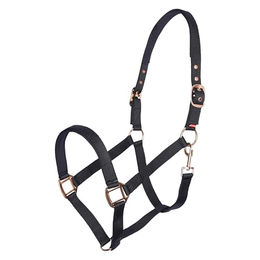 Produktbild von Imperial Riding Halfter Classic Sport für Ponys aus Nylon in Schwarz mit Goldbeschlägen