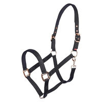 Produktbild von Imperial Riding Halfter Classic Sport für Ponys aus Nylon in Schwarz mit Goldbeschlägen
