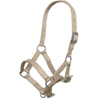 Produktbild von Imperial Riding Halfter für Pferde