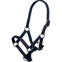 Produktbild von Imperial Riding Halfter für Pferde