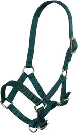 Imperial Riding Halfter für Pferde – Bild 1 von 1